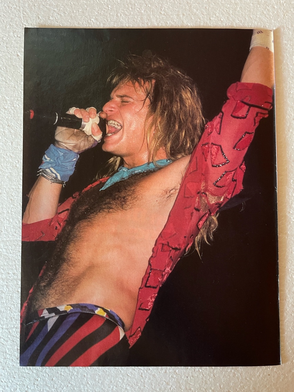 David Lee Roth pinup